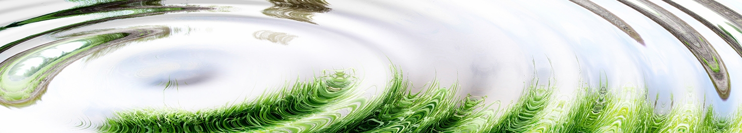 elsabeth-razesberger-slider2 Elisabeth Razesberger – Dialogue Facilitator